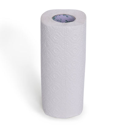 Taina Kitchen Towels (2 Rolls X 60 Sheets X 2 Ply)